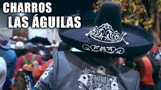 Charros las Águilas  Banda Felipe Arpero [upl. by Anairda]