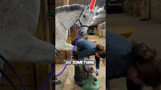 Girl Helps Poor Horse 😍 [upl. by Ahsilahs]