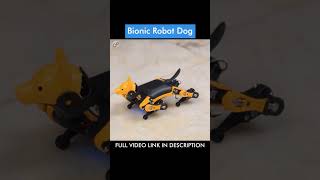 Bionic Robot Dog  Petoi Bittle shorts youtubeshorts viralshorts robot robotpet robotdog [upl. by Oirotciv]