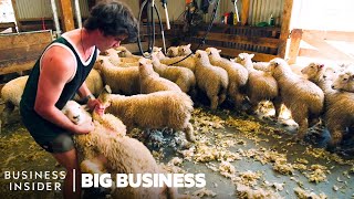 How NZ Farmers Shear 25000 Sheep In 10 Days  Big Business [upl. by Nerro239]