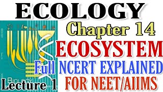 NCERT Ch14 ECOSYSTEM Ecology class 12 Biology Full explained NCERT For BOARDS amp NEETAIIMS [upl. by Maurits]