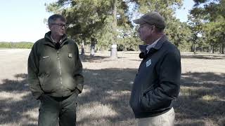 Orchard Produces Loblolly Pine Seeds [upl. by Duggan]