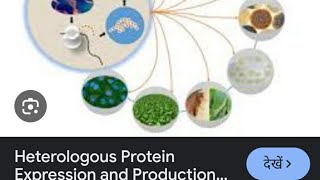 AIIMSampNEET BIOLOGY ampCSIRNET LIFESCIENCESheterologous gene expression [upl. by Jarrad]