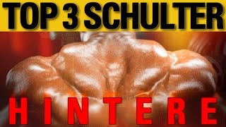 Top 3 Übungen  hintere Schulter [upl. by Eynobe268]