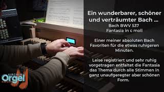 JS Bach BWV 537 Fantasia  Orgelmusik  ein ganz verträumter Bach  ruhig und elegant [upl. by Palmira159]