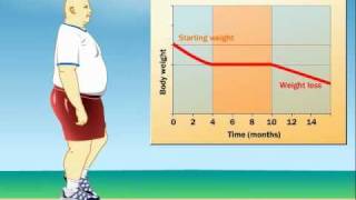 How Does Exercise Impact Weight Loss [upl. by Finny548]