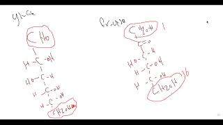 L30 Glycolysis 1 [upl. by Weinstein]