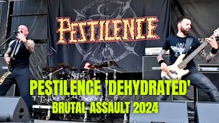 PESTILENCE  DEHYDRATED live at Brutal Assault Festival 2024 [upl. by Sapowith]