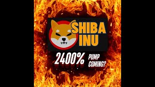 Shiba inu coin WILD price prediction 2400 pump shib price prediction [upl. by Elleinnod]