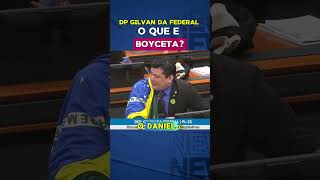 DP GILVAN DA FEDERAL NÃO SABE O QUÊ É BOYCETA gilvandafederal política notícia [upl. by Enogitna847]