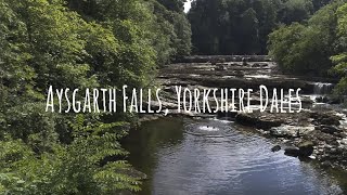 An Accessible Walk with Debbie North at Aysgarth Falls Yorkshire Dales with AccessTOG [upl. by Sybley257]