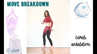 Bellydance Crashcourse for beginners 2024  Camelsundulations [upl. by Lucania360]