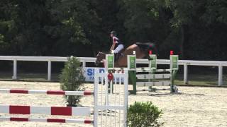 Akistane de Kergane  Vainqueur CIR 5 ans Le Lion dAngers [upl. by Verity]