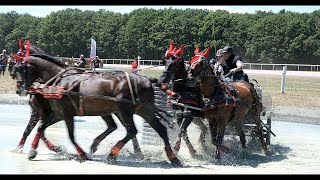 Cholet Attelage  Concours National 2022 [upl. by Lanaj606]