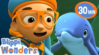 Dolphins  Blippi Wonders Fun Cartoons  Moonbug Kids Cartoon Adventure [upl. by Ferde]