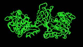 Structures of Burkholderia thailandensis nucleoside kinase  1 [upl. by Linden]