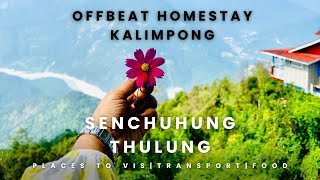 Travel vlogHONEST REVIEWOFFBEAT Homestay🏡kalimpongBurmick SenchuhungThulung HomestayMustvisit [upl. by Byrne963]