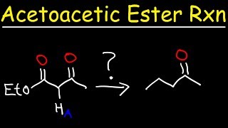 Acetoacetic Ester Synthesis Reaction Mechanism [upl. by Lemrac]