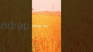 Prem pahadi Chandrapura C T P S song jharkhand newsong [upl. by Ojeillib]