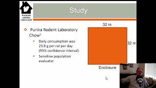 Methods to determine the population of Norway Rats Rattus norvegicus and brown rats [upl. by Adnirual]