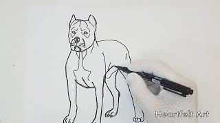 Speed Drawing Pit Bull Terrier with Marker [upl. by Kcirdnekal817]