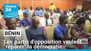 Bénin  les partis dopposition veulent quotréparerquot la démocratie • FRANCE 24 [upl. by Atinor653]