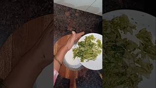 Pahadi raita recipe shorts ytshorts moolikaraita youtubeshorts pahadifood uttarakhandfood [upl. by Yrellav]