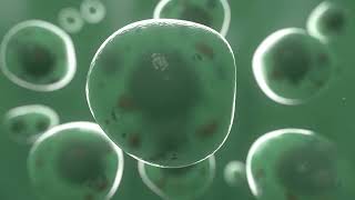 Cell division animation Mitosis [upl. by Hamid]