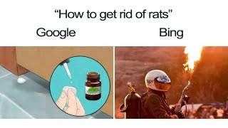 Google vs Bing Meme Compilation [upl. by Drarreg547]