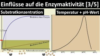 Einflüsse auf die Enzymaktivität Substratkonzentration Temperatur pHWert RGTRegel  35 [upl. by Shantee871]