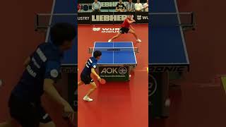 Wow thats an INSANE BACKHAND from Ovtcharov 🤯against Togami [upl. by Irmine524]