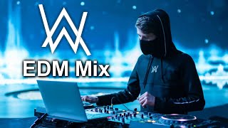 Alan Walker EDM Mix  Música Electrónica 🎵 Electro Dance 2023 🎶 La Mejor Musica Party  p81 [upl. by Aryk]