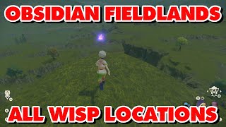 Obsidian Fieldlands Wisp Locations [upl. by Enifesoj871]