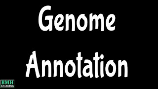 Genome Annotation [upl. by Enilrae]