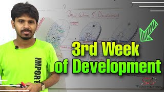 3rd week of development detail explanation in bangla [upl. by Dysart]