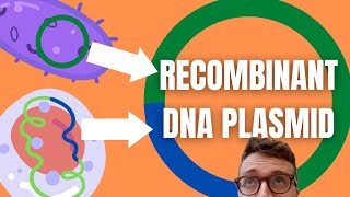 Recombinant DNA Technology Explained For Beginners [upl. by Goraud]