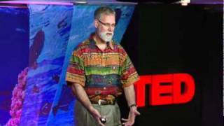 Rob Dunbar The threat of ocean acidification [upl. by Tollman909]