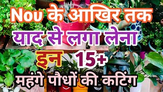 Nov के आखिर तक जरूर लगाना 15महंगे पौधों की कटिंग सबसे फास्ट ग्रो होते हैं  plants grow by cutting [upl. by Tavia]