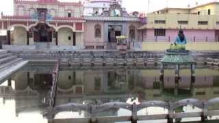 Sthaneshwar Mahadev Temple  Journey to Kurukshetra [upl. by Ziladnerb530]