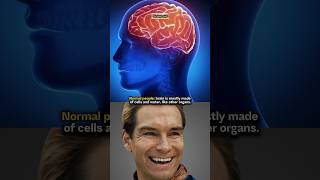 The Surprising Truth About Your Brain Its Mostly Fat humanbrain sciencefacts science [upl. by Yedsnil747]