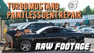 Turbo Mustang Hood Repair  Paintless Dent Removal  Dentless Touch [upl. by Harret767]