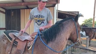 Horse Training  First Ride First Mount [upl. by Marrin]