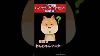 犬の種類、いくつ知っていますか？ 役に立つ雑学 雑学聞き流し ゆっくり解説 雑学 犬 わんちゃん [upl. by Niwdog746]