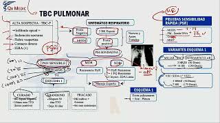 3 MAPA MENTAL NEUMOLOGÍA TBC PULMONAR Y BRONQUIECTASIAS [upl. by Hajile]