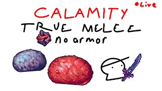 calamity true melee no armor expert death part 2 [upl. by Sidoeht993]