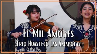 Trío Huasteco Las Amapolas  El Mil Amores [upl. by Anelrahc671]