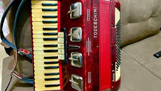 live Acordeon Todeschini super 5 8500 [upl. by Namya]