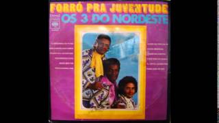 Os 3 do Nordeste  03 Forró pra juventude [upl. by Aikimat55]