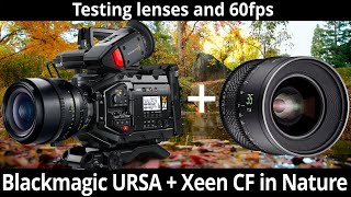 Rokinon Xeen CF lens test and 60 fps in nature with Blackmagic URSA mini pro 12K [upl. by Sillert]