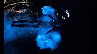 Swimming in a GLOWING OCEAN  Incredible Bioluminescence [upl. by Etnuaed]